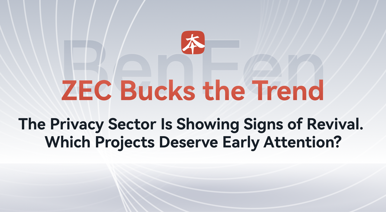 ZEC Bucks the Trend- The Privacy Sector Is Showing Signs of Revival. Which Projects Deserve Early Attention?