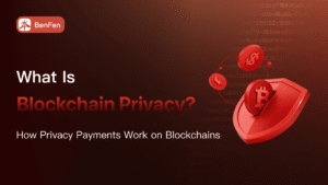 What Is Blockchain Privacy? How Privacy Payments Work on Blockchains?