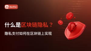 什么是区块链隐私