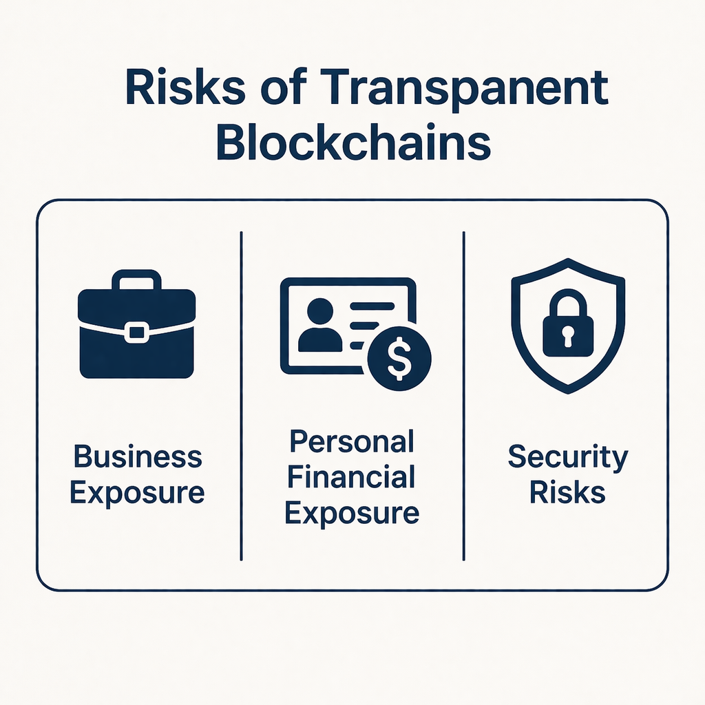 Risks-of-Transpanent-Blockchains